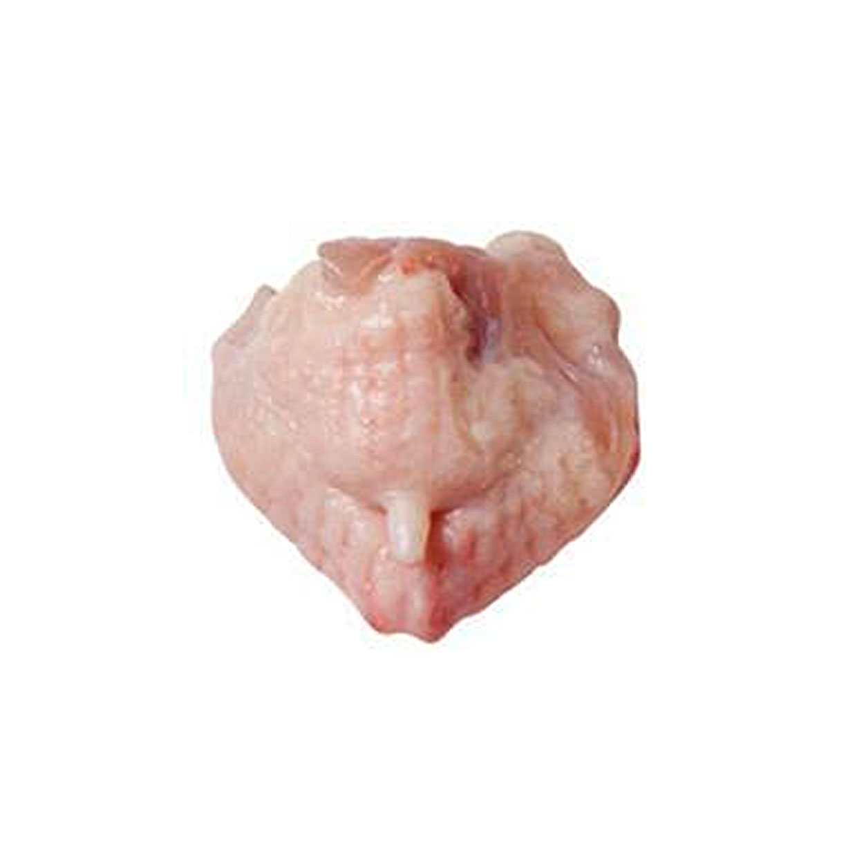 Shop Online Tongkeng Ayam 1kg - Kedai Matdespatch