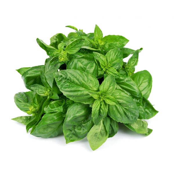 Shop Online Daun Basil 100g - Kedai Matdespatch